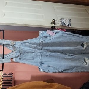 Wild fable Jean overalls